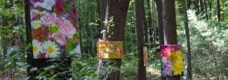 WildFlowers – An Art Show in the Forest