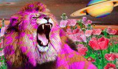 oz-Lion