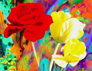 wildFlowers_RoseFeatured
