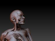 ZBrush Document