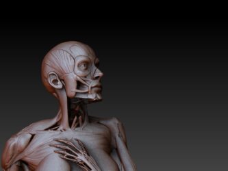 ZBrush Document