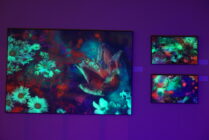 DSC05996