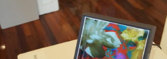 MoonFlowers Holograms, PAC Members Exhibition 2022